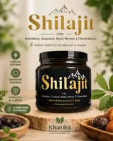 Shilajit en jalea x 100 gramos